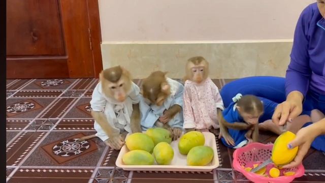 Обезьянки 4 ЛАПУСЕЧКИ маму целуют обнимают на руки залезают пищат кушать просят Едят манго взахлеб м
