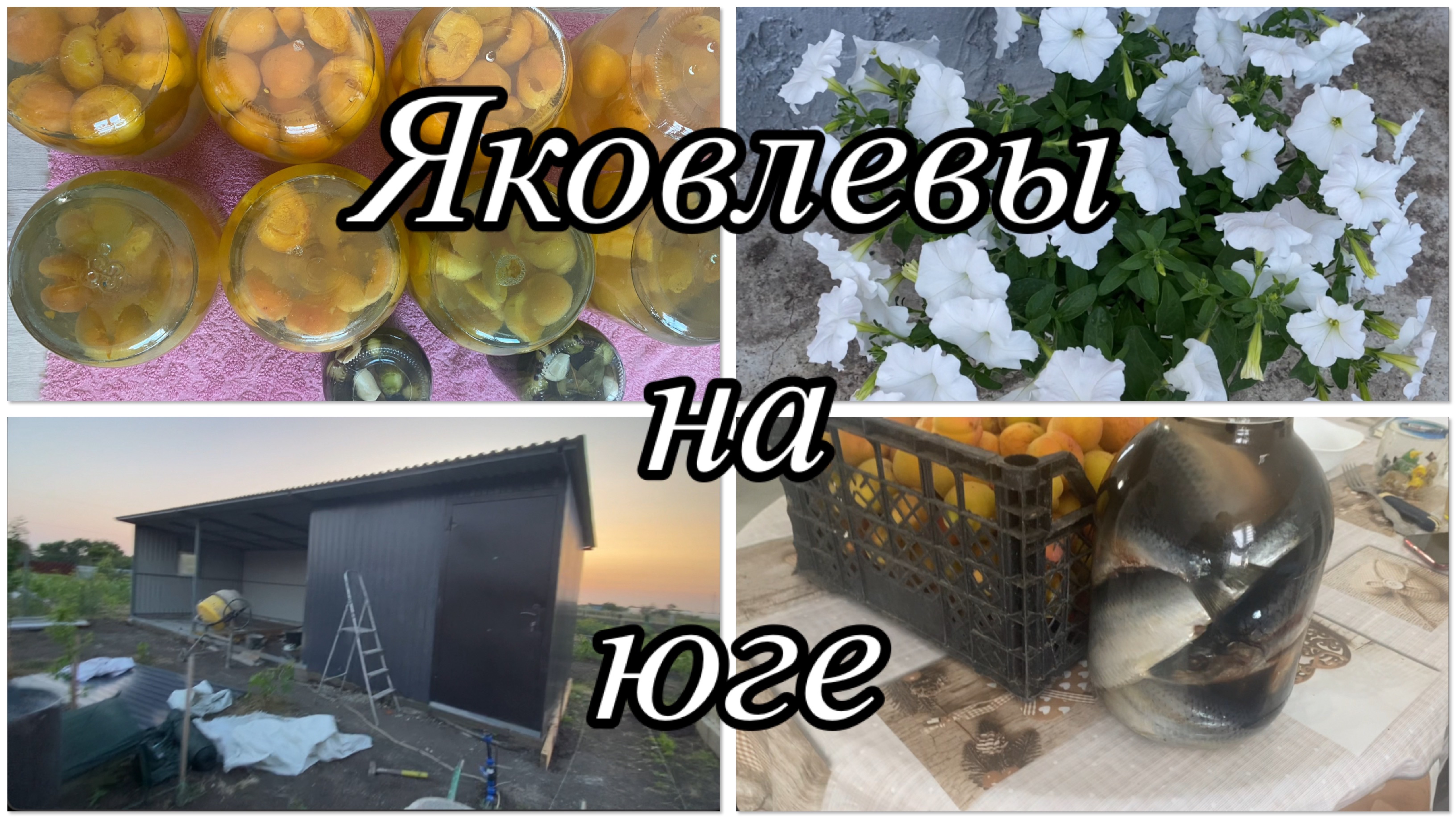 593ч🏡13.06.25-Установил дверь//Закатала огурцы и компот из абрикосов//День очень длинный 😉