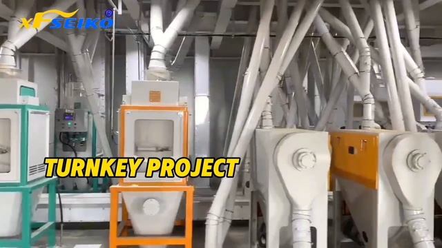 1000002239.mp4