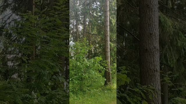 Евангелие от Иоанна глава 4 стих 27-42