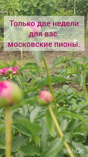1000045034.mp4