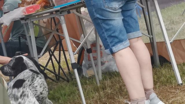 Ухаживания и приставалки. РОСы.