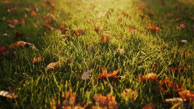 Сердце открывается шире под такую мощную музыку - Green Fields -- Scott Holmes Music -- Music for TV