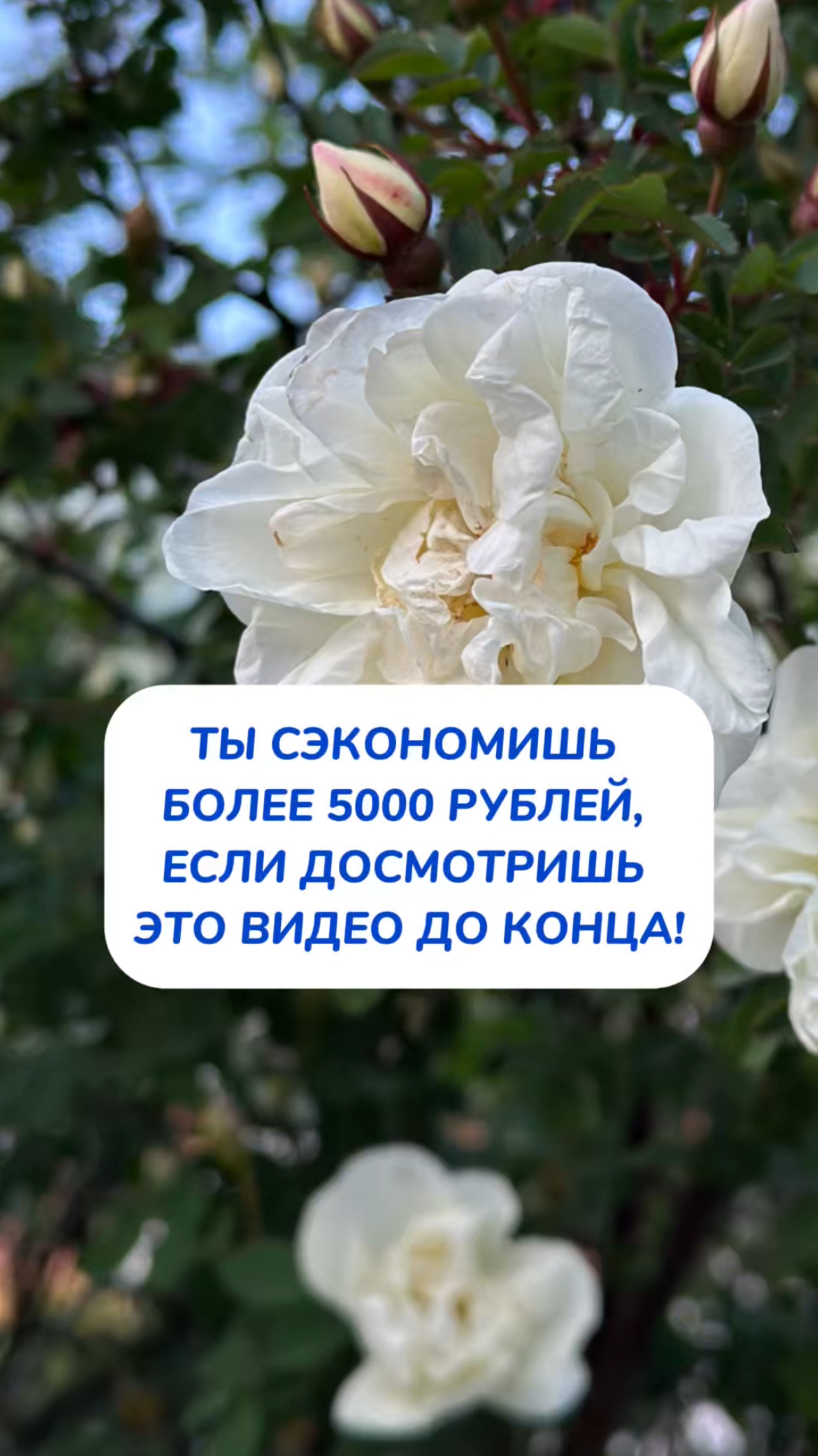 ТЫ СЭКОНОМИШЬ БОЛЕЕ 5000 РУБЛЕЙ, ЕСЛИ ДОСМОТРИШЬ ЭТО ВИДЕО ДО КОНЦА!