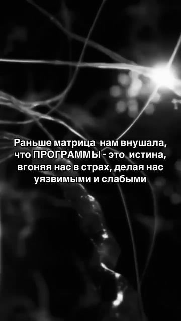 #мысли #программа #роль