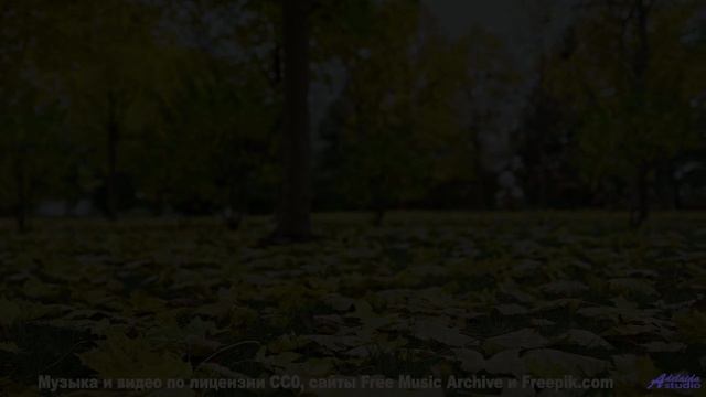 Природа через тепловизор будущего - новый взгляд на мир! - Рок-звезда с тихим голосом -- Александр Н