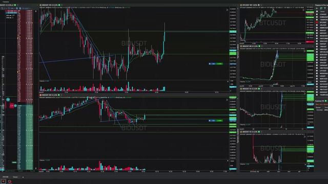 45-Bidusdt-Long-Profit-09-06-2025-15-59-11