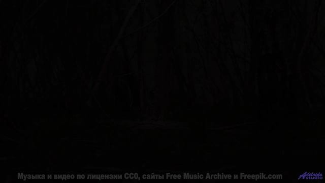Музыка наполняет сердце полётом при каждом кадре - Dark Night of the Soul -- One Man Book -- But Fir