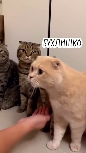 Актуально всегда
