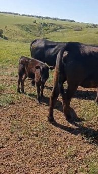 Сельская жара