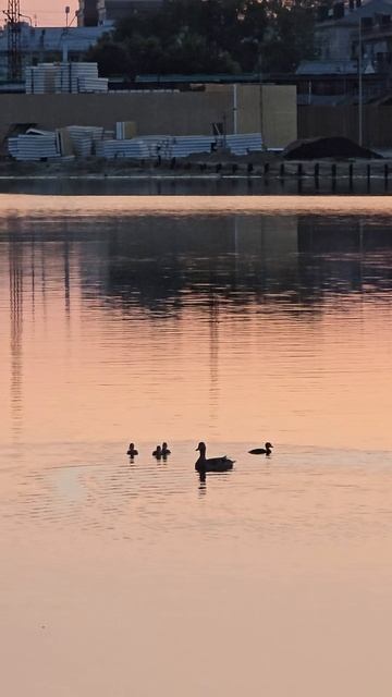 На закате солнца, водоём в Белгороде