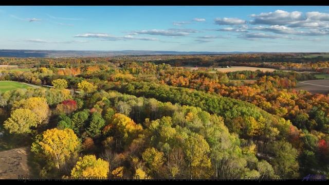 Саундтрек рождает ощущение, будто Земля говорит с вами - Top of the World -- Scott Holmes Music -- M