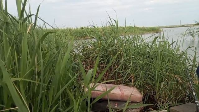 на рыбалке