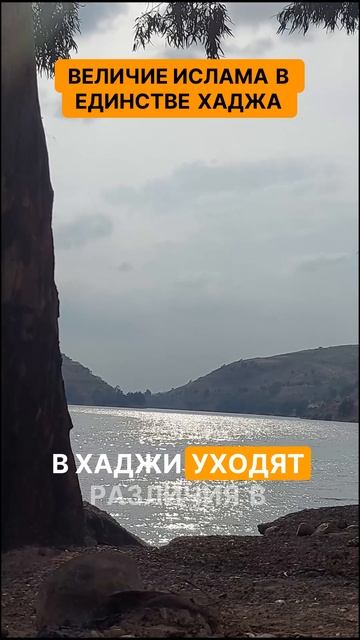 Величие ислама в единстве хаджа. В величие ислама и единство, которое проявляется в хадже!