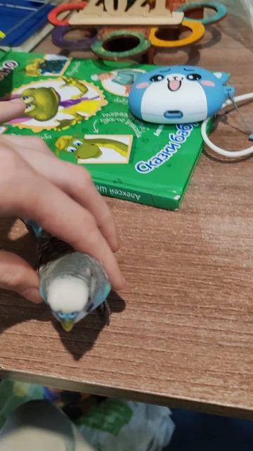 Новый тренд?