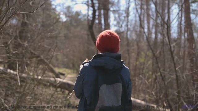 Вы не слышали море таким, пока не включили этот трек! - A New Day -- Scott Holmes Music -- Happy Bac