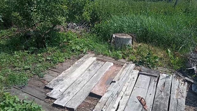 жизнь в деревне