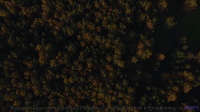 Это видео создано для жителей 3023 года - но доступно вам сейчас! - Airliner -- Podington Bear -- Me