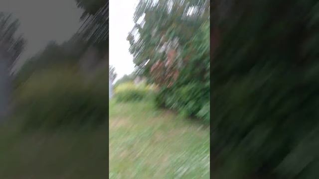 1000012295.mp4