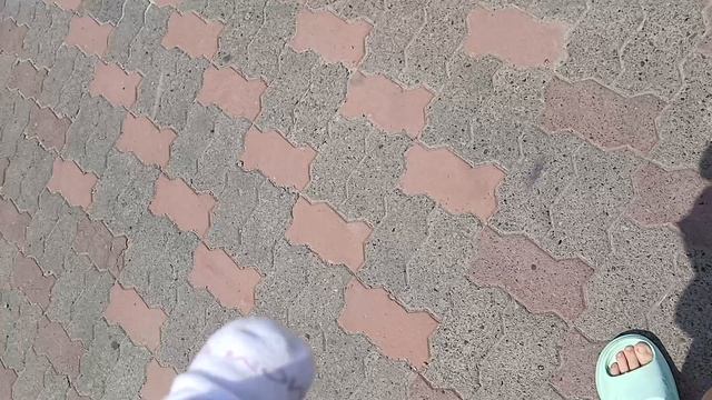 реборн