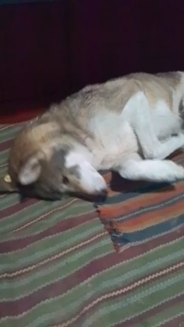 VID_20250614_134053.mp4