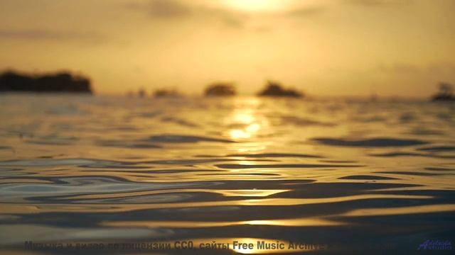 Океан звуков и бескрайние дали! - Pop Goes the Mullberry Bush -- New Millennium String Band -- NMSB
