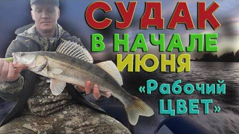 Открытие сезона: Судак на джиг в июне — самый рабочий цвет и где искать крупняк