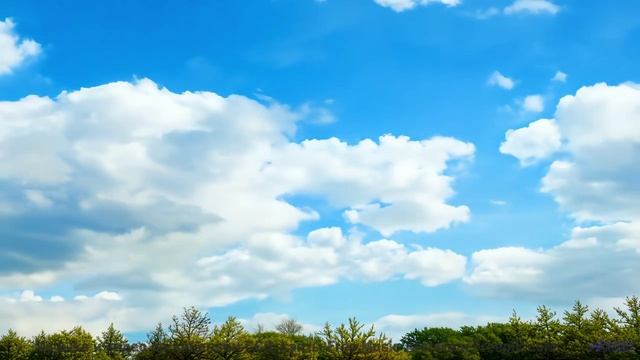 Симфония рассвета над полями! - 20 Minute Meditation 12 -- HoliznaCC0 -- Space - Sleep - Meditation
