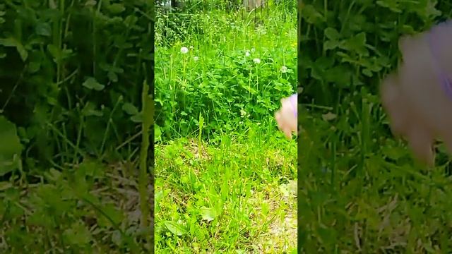 Мастер - класс по подаче