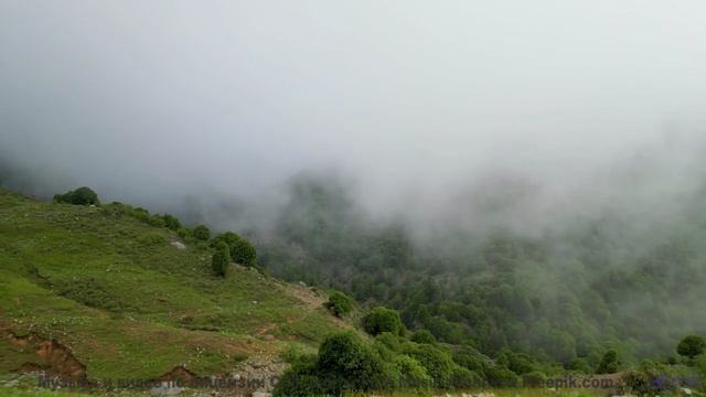 Эта мелодия заставит ваше сердце таять - осторожно! - This Is All -- Serat -- Unnamed album