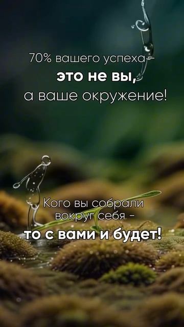 Ваш уровень — это среднее пяти людей, с которыми вы чаще всего общаетесь.