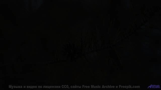 Каждый кадр под эту мелодию - праздник для глаз - Dreamaholic -- Taylor Poe -- 10 Million Babies