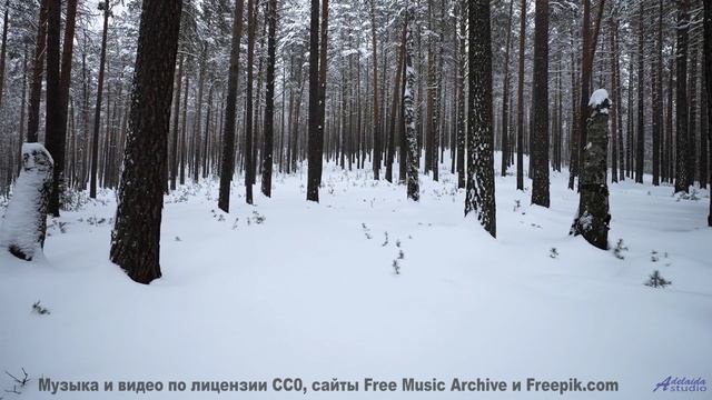 Эта музыка заставит ваше сердце биться чаще - попробуйте не плакать! - Float On -- Ryan Andersen --