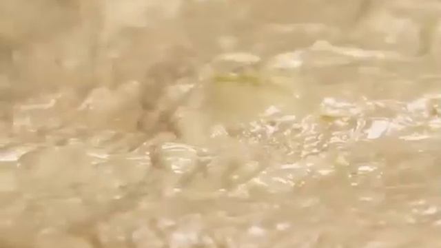 Никто не верит, что я делаю тесто сама. Получаются лучше, чем в кондитерских