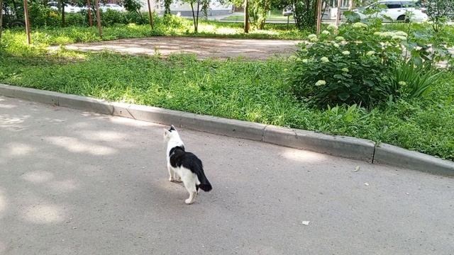 1000008476.mp4