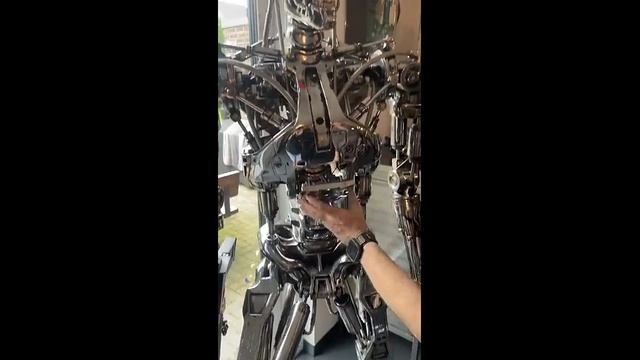 Эндоскелет терминатора Т800