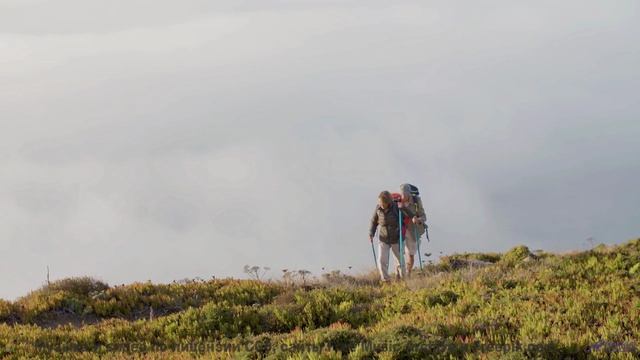 Музыка, способная влюбить в природу мгновенно - Advantages  Disadvantages -- A. Cooper -- A.