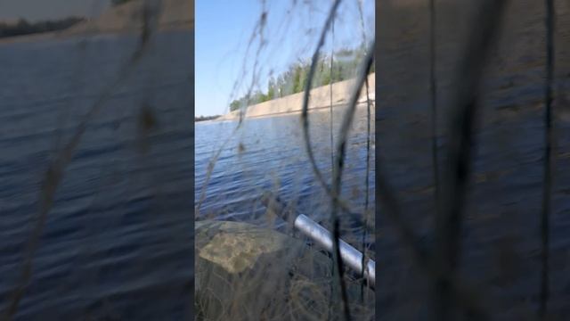 1000044629.mp4Волга.14.06.2025г.