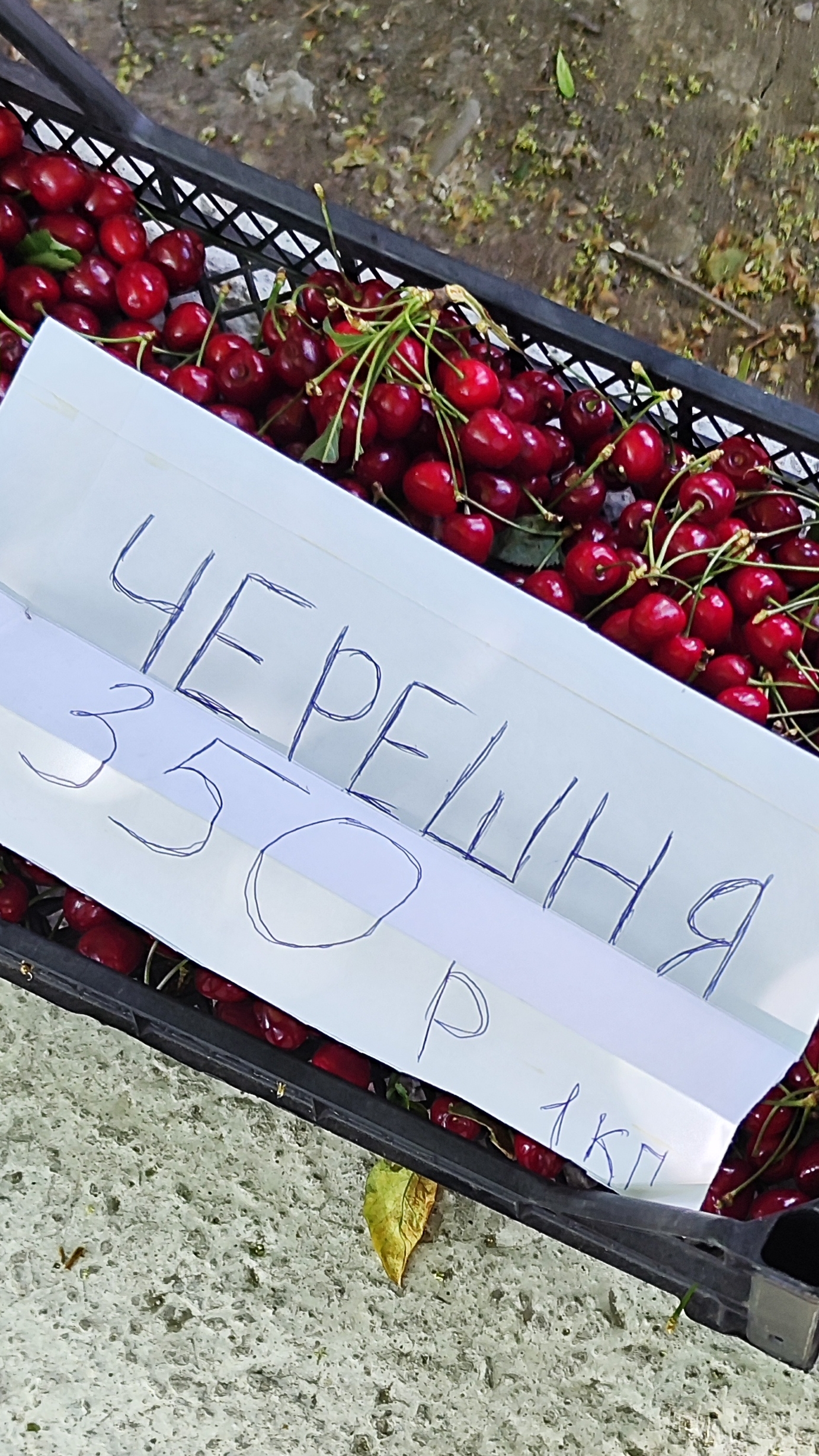 Цены в Крыму