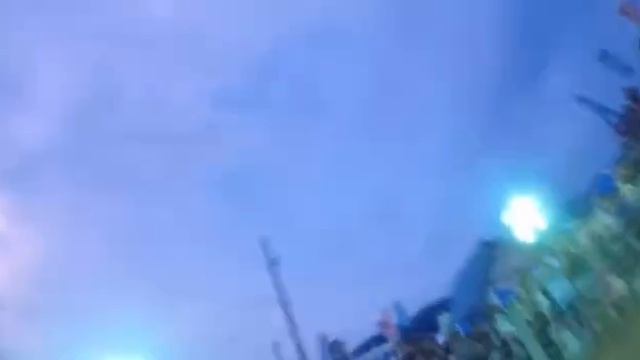 Скачки на свиньях в Японии