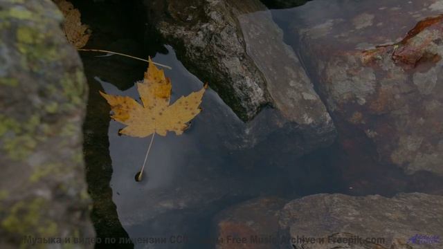 Саунд качает сердце, как ветер качает траву - Needing Silence, Needing Peace -- A Tape Full of Mista