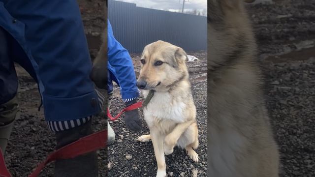 ПАШКА со своими УЛЫБЧИВЫЙ ребёнок