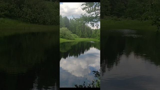 Евангелие от Иоанна глава 3 стих 1-12
