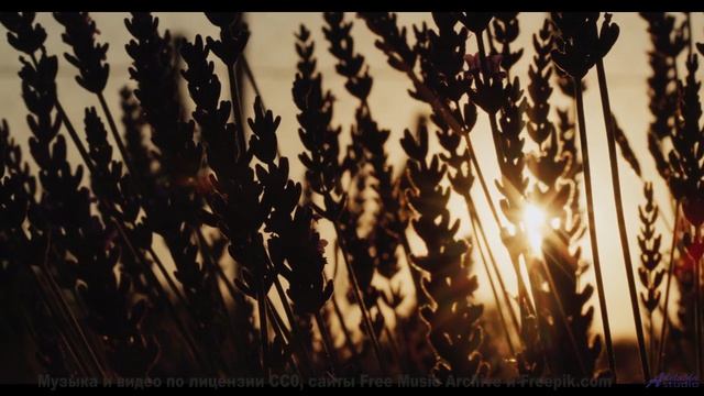 Песня, которая звучит как обещание новых открытий! - So Happy -- Scott Holmes Music -- Happy Backgro
