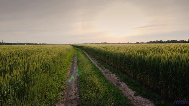 Двигайтесь под этот ритм - пусть дорога ведёт вас к новым открытиям - Get Happy Now -- Podington Bea