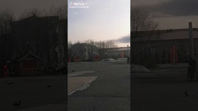 1b703a46-02e9-4ec6-9d26-0db0c863e666-watermark.mp4 Елена Дружиненко Воркута