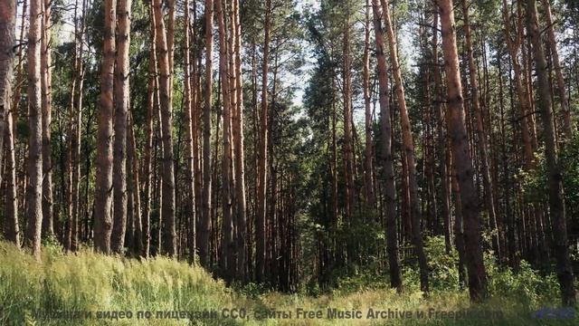 Что скрывает этот туман - Cara roja (XL) -- opo -- Estudios Indigeniformes