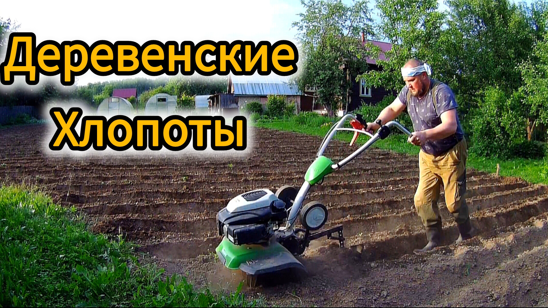 Мотокультиватор в действии: обработка участка с картошкой