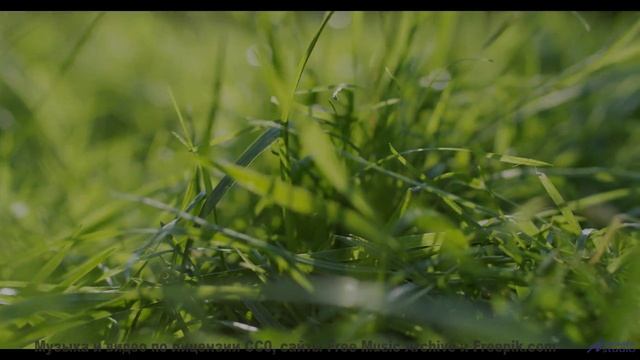 Мелодия ведёт сквозь горы, поля и реки - Peace Be Upon You -- Kirk Osamayo -- Season Two (BLUE)