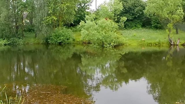 Тула-Щекино ( малые озерки )